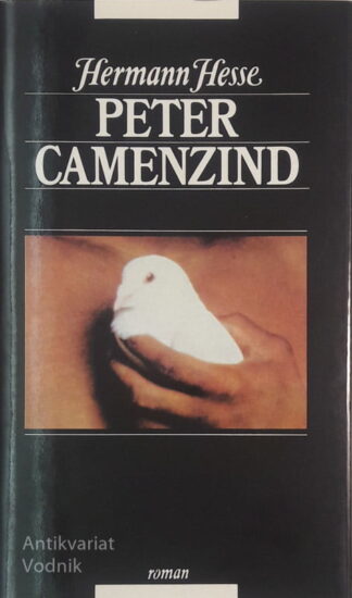 PETER CAMENZIND, Hermann Hesse