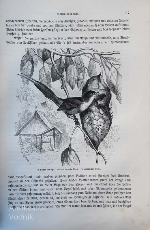 Brehms Tierleben. Allgemeine Kunde des Tierreichs v 13 knjigah - slika 5