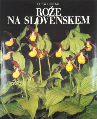 ROŽE NA SLOVENSKEM, Luka Pintar