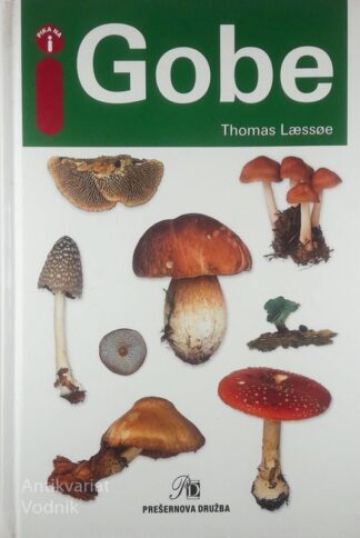 GOBE, Thomas Læssøe