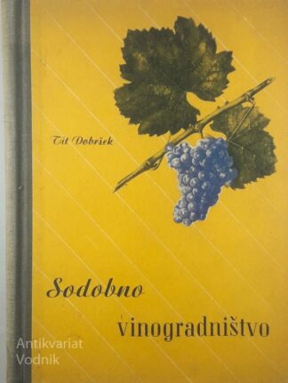 SODOBNO VINOGRADNIŠTVO, Tit Dobršek
