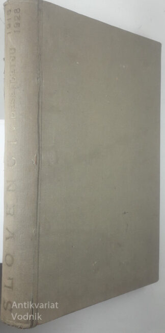 SLOVENCI V DESETLETJU 1918-1928; ZBORNIK RAZPRAV IZ KULTURNE, GOSPODARSKE IN POLITIČNE ZGODOVINE