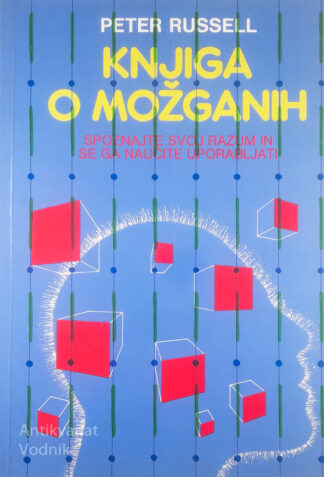 KNJIGA O MOŽGANIH, Peter Russell