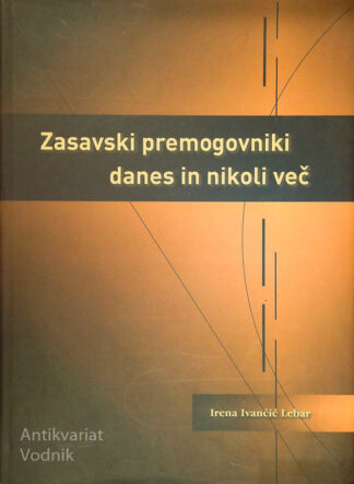 ZASAVSKI PREMOGOVNIK DANES IN NIKOLI VEČ, Irena Ivančič Lebar