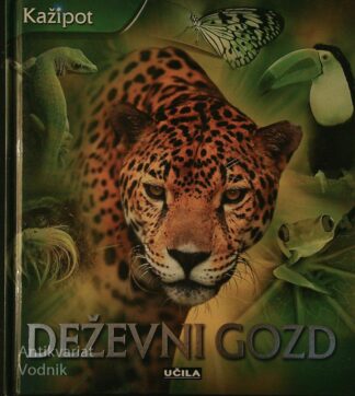 DEŽEVNI GOZD, Andrew Langley