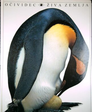 OČIVIDEC: ŽIVA ZEMLJA, Miranda Smith