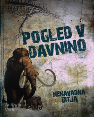 POGLED V DAVNINO