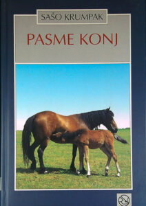 PASME KONJ, Sašo Krumpak