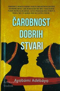 ČAROBNOST DOBRIH STVARI, Ayóbami Adébáyo